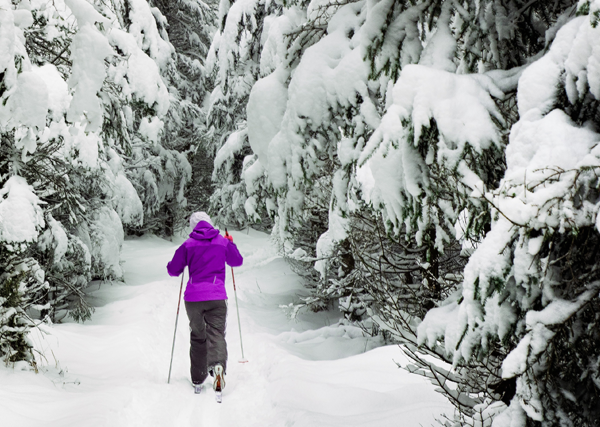 Découvrir ou [re] découvrir le ski de fond